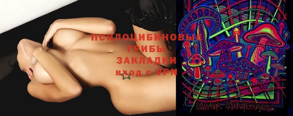 круглые Новодвинск