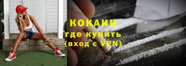 прущий лед Новозыбков