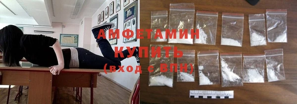 прущий лед Новозыбков