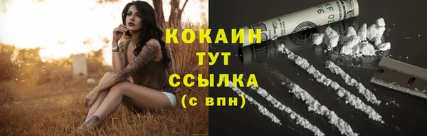 прущий лед Новозыбков