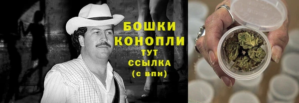 прущий лед Новозыбков
