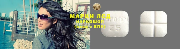 прущий лед Новозыбков
