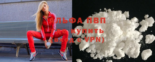 прущий лед Новозыбков