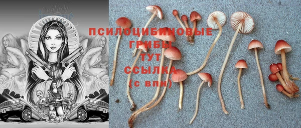 круглые Новодвинск