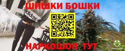 индика Заводоуковск