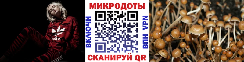 KRAKEN ONION  купить   Мурманск  Псилоцибиновые грибы мухоморы 