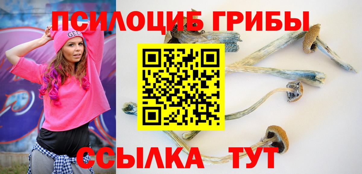 Псилоцибиновые грибы мухоморы  Вход с VPN  Псилоцибиновые грибы Psilocybe  сколько стоит  Мурманск 