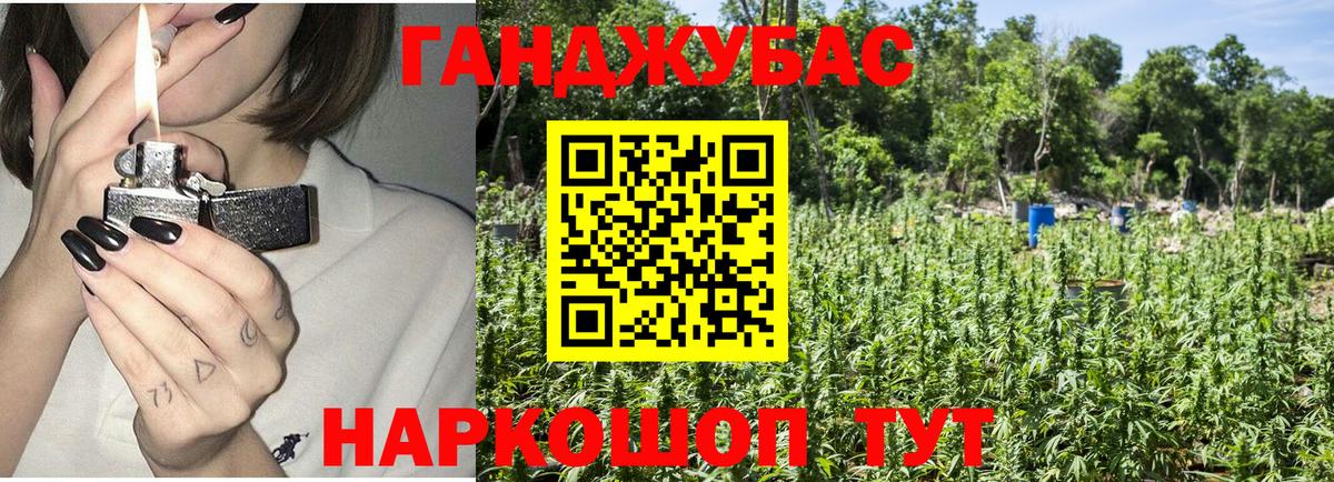 Шишки марихуана семена Мурманск